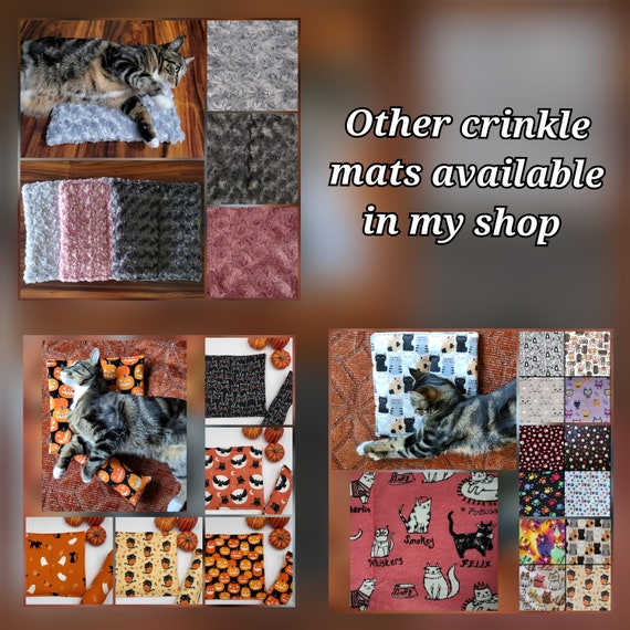 Cat Crinkle Toy, Small Noisy Plastic Crinkle Mat, Paper Sound Pad, Cat  Lover Gift Idea 