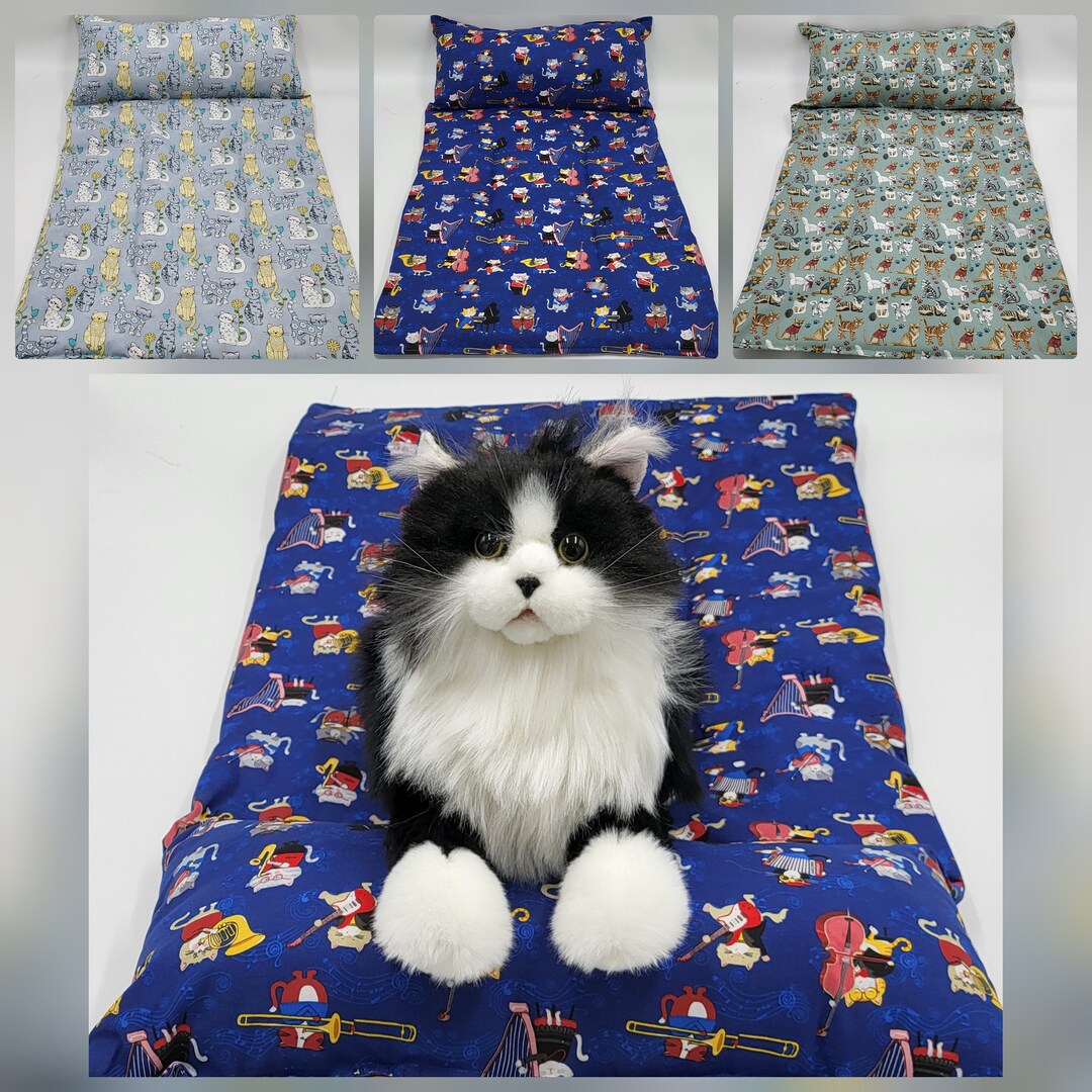 Large Cat Crinkle Mat, Kitty Pillow Bed, Kitten Sleeping Pad, Cat Lover