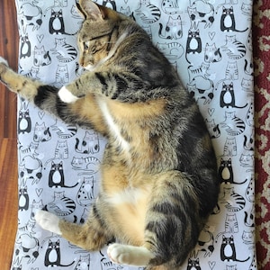 May include: A rectangular pet mat featuring a repeating pattern of black and white cartoon cats and small hearts on a light gray background. A brown tabby cat with white paws and a white chest is lying on its side across the center of the mat.