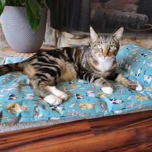 PILLOW Large Cat Crinkle Mat, Kitty Bed, Kitten Sleeping Pad, Cat Lover Gift Idea