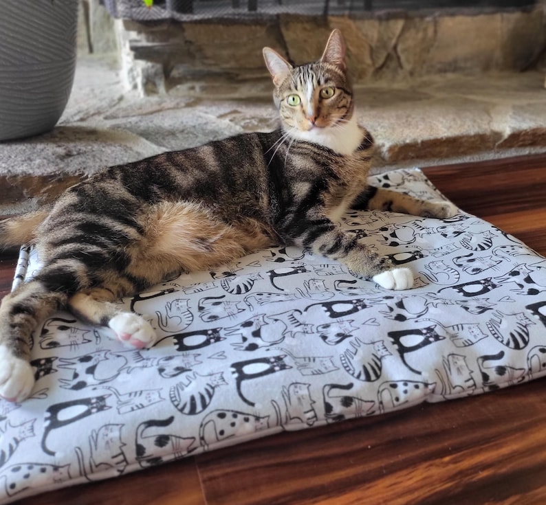 May include: A rectangular pet mat featuring a repeating black and white line art pattern of various cat silhouettes. The mat is made of fabric and has a soft, padded appearance. A brown tabby cat with white paws is lying on top of the mat.