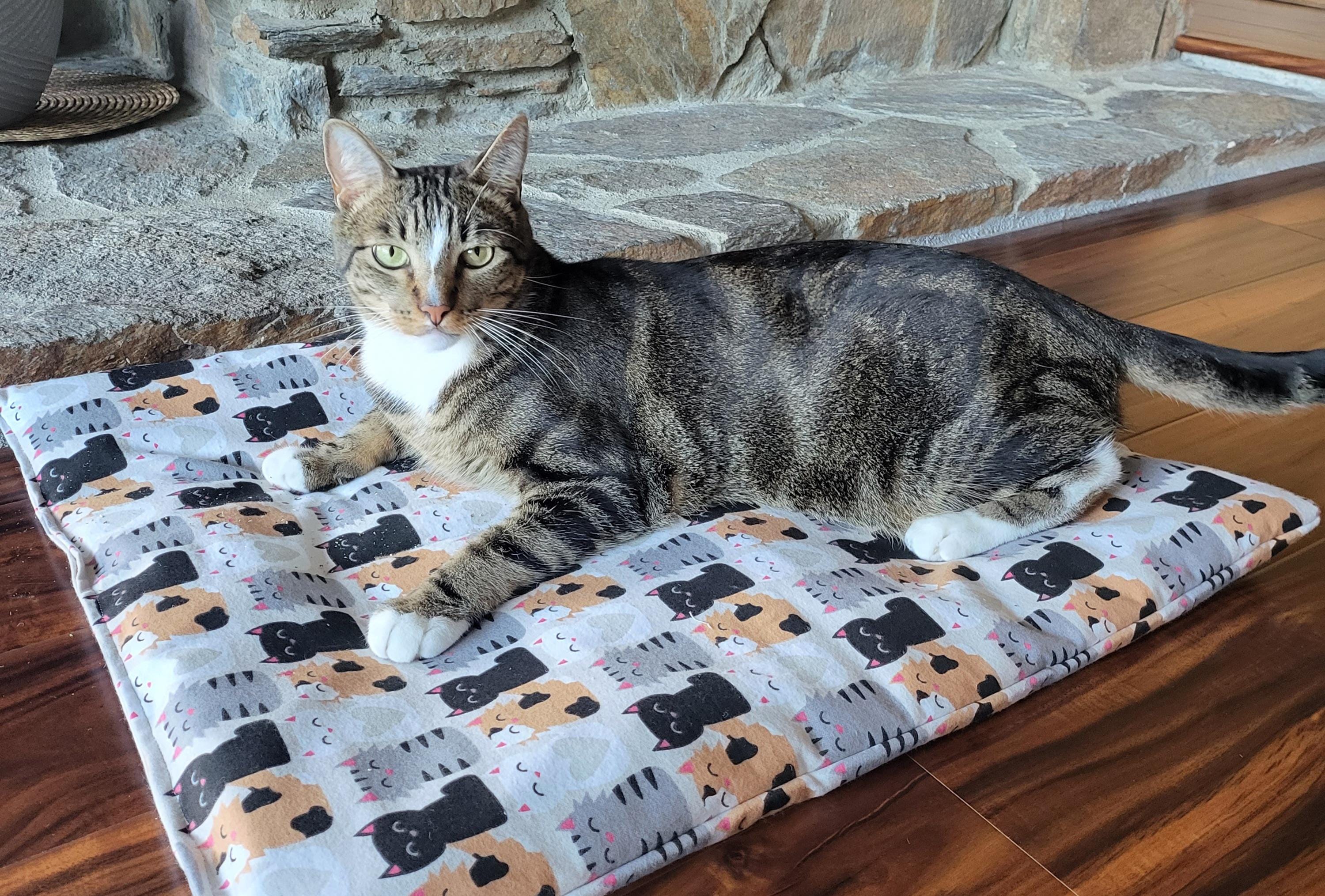 Cat Sleeping Mat Etsy