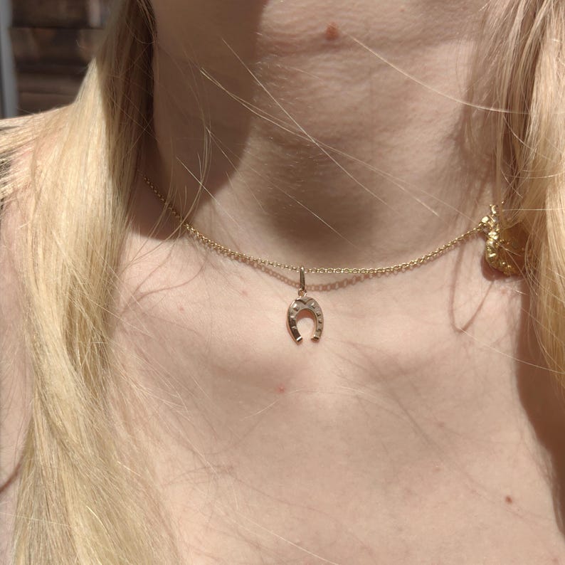 May include: Gold-toned necklace with a horseshoe pendant. The horseshoe charm is embellished with small, clear stones. The necklace is worn around the neck, with the chain and pendant visible against the skin.