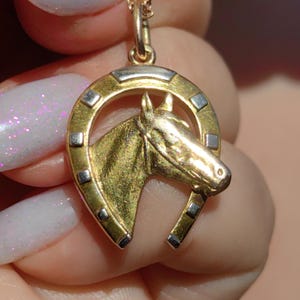 Antikes dreifarbiges Gold Pferd im Hufeisen Anhänger: Reiter Glücksbringer