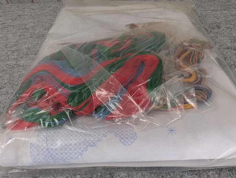 Puede incluir: Un kit de punto de cruz en una bolsa de pl&aacute;stico transparente. El kit incluye madejas de hilo de bordar rojo, verde y azul, junto con una pieza de tela blanca con un patr&oacute;n de punto de cruz azul. Tambi&eacute;n se incluye hilo adicional en varios colores.