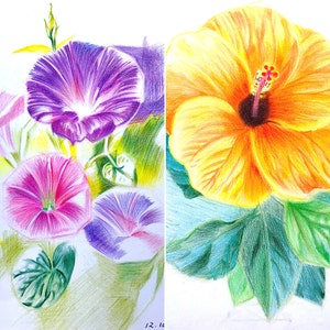 Grußkartensammlung mit botanischen Blüten für jeden Anlass