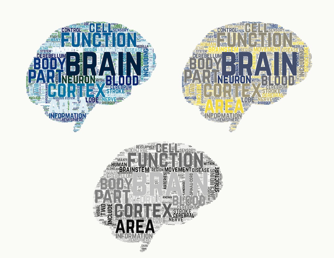 Brain Word Cloud Art: Neuroscientist Gift (digital Download) - Etsy
