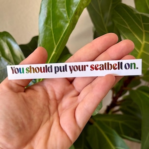 May include: A white sticker with the text "You should put your seatbelt on." in rainbow-colored letters. The sticker is held in a hand, with a green plant in the background.