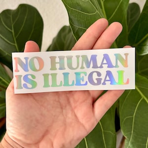 May include: A rectangular sticker with the words "NO HUMAN IS ILLEGAL" in iridescent, rainbow-colored lettering. The sticker is held in a hand, with a green leafy plant in the background.