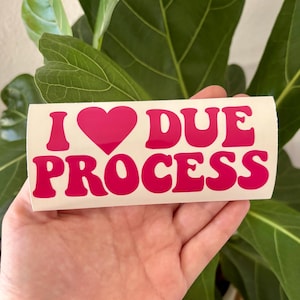 May include: A white sticker with the phrase "I ❤️ DUE PROCESS" in bright pink, bold, rounded letters. The heart symbol is also pink. The sticker is held in front of a background of green leaves.