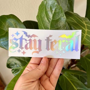 May include: A rectangular sticker with the words "Stay Feral" in a gothic font. The text and accompanying bat and star graphics have a holographic, rainbow-like effect. The sticker is held in front of a leafy green plant.