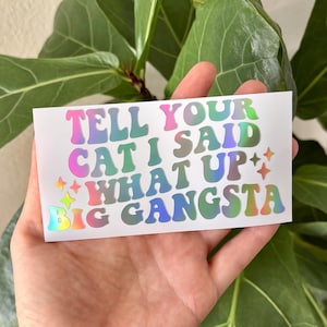May include: A white sticker with the text "TELL YOUR CAT I SAID WHAT UP BIG GANGSTA" in colorful, holographic bubble letters. The sticker also features star accents. The sticker is held in a hand.