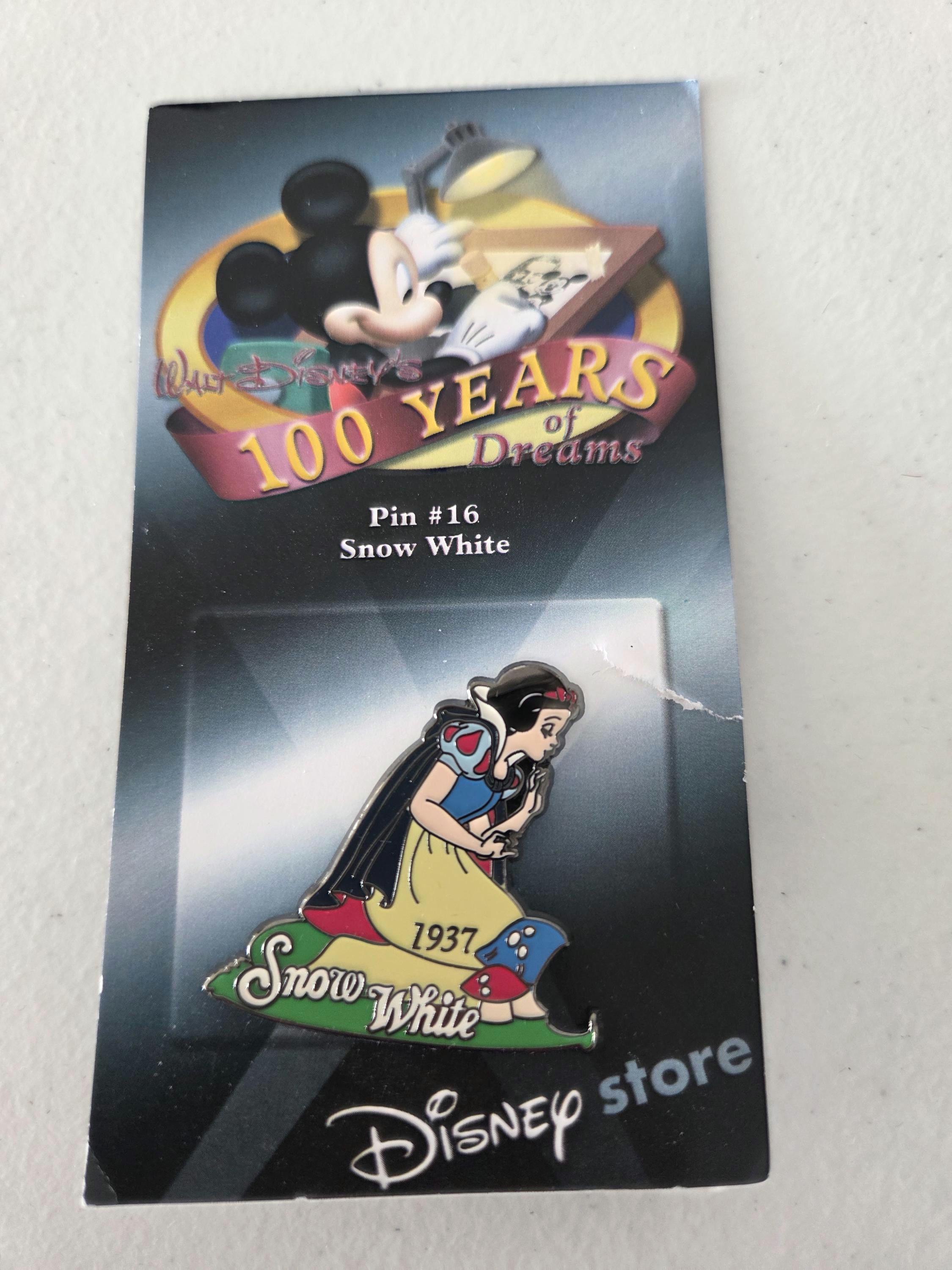 100 Years of Dreams Pins - Etsy