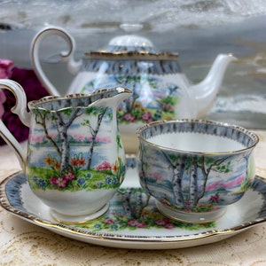 Vintage Royal Albert Silver Birch Large 6 Cup Teapot cream and sugar, English bone china image 2