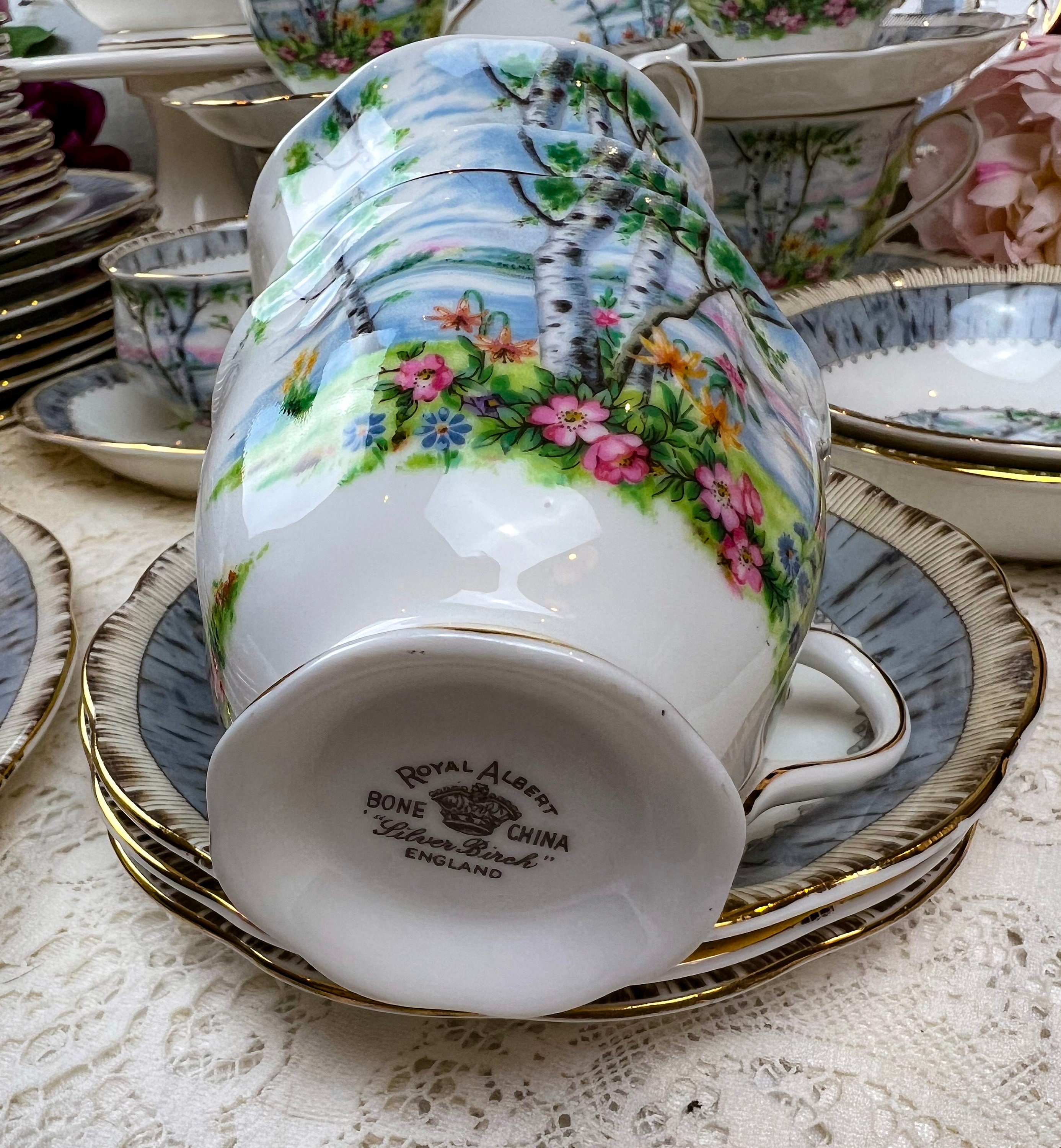 5 Piece Place Setting Vintage Royal Albert Silver Birch With