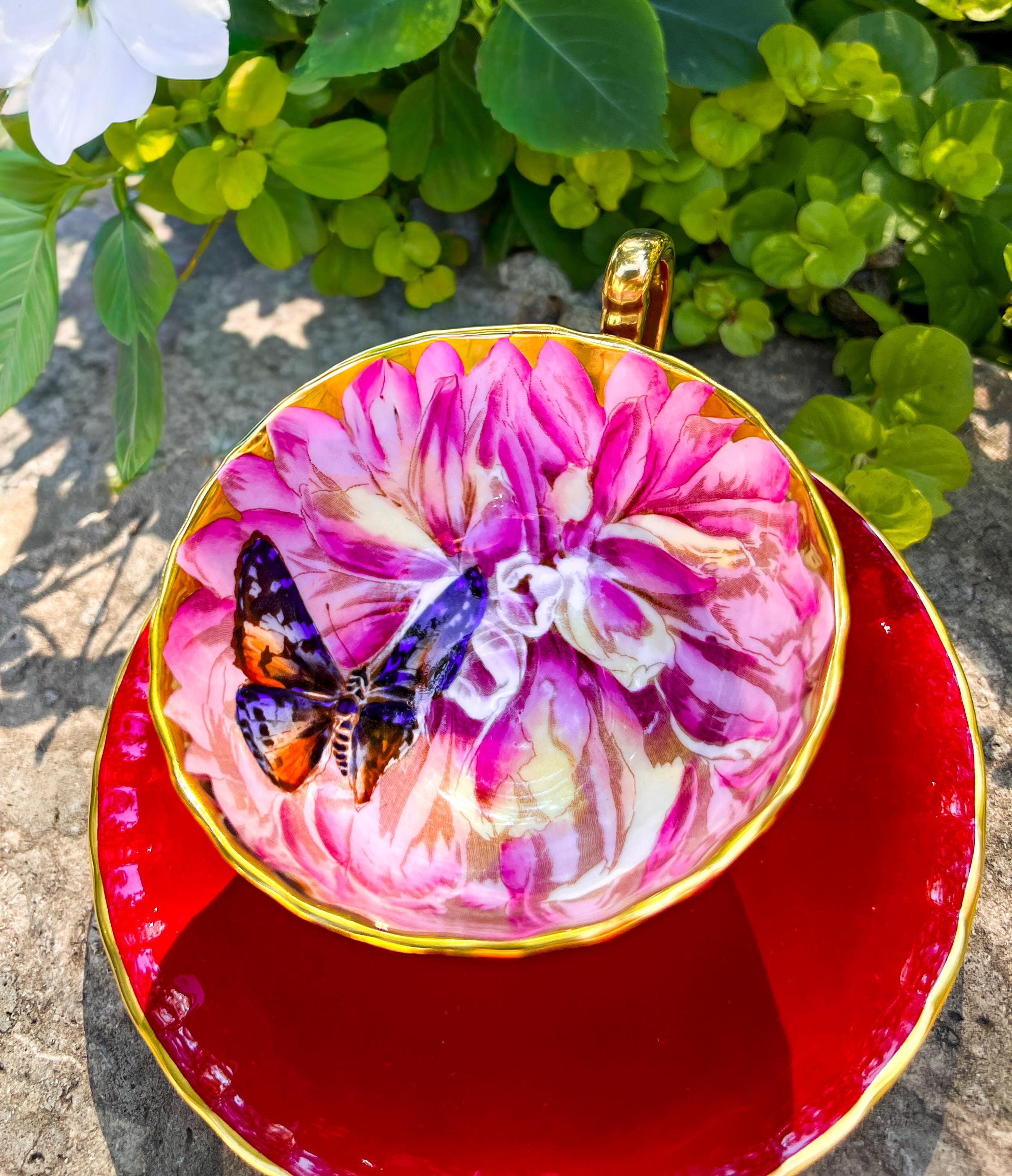 Vintage Red Aynsley Butterfly and Pink Chrysanthemum Teacup and