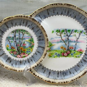 May include: A set of vintage porcelain plates with a scenic landscape design. The plates feature a central image of a lake with birch trees and colorful flowers. The rims are gray with a gold trim, adding a touch of elegance.