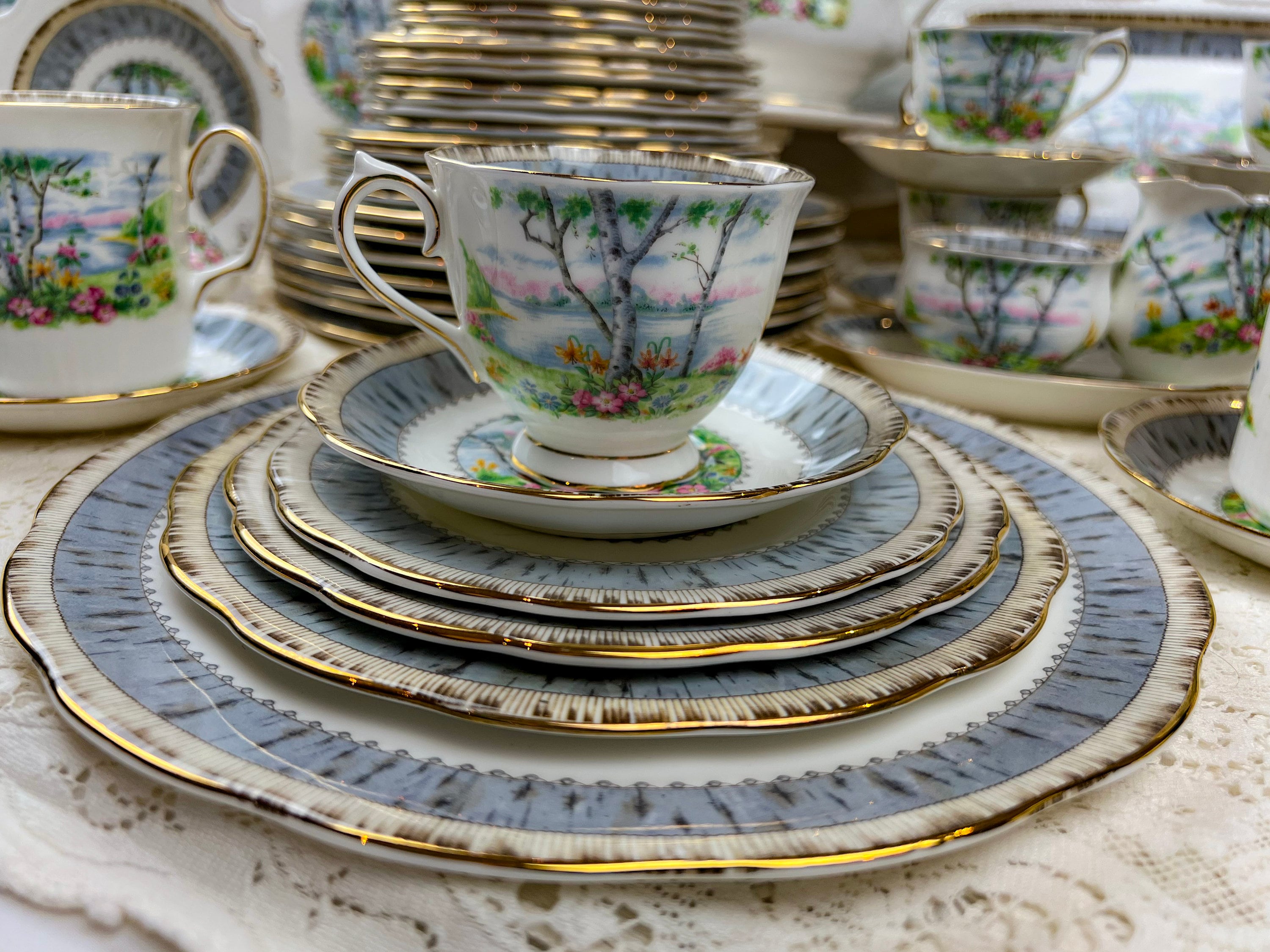①ロイヤル アルバート Silver Birch プレート　大皿　5枚　26cm 5 Piece Place Setting Vintage Royal Albert Silver Birch With