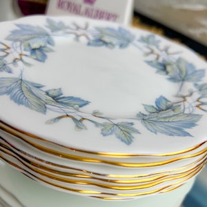 May include: A stack of six white ceramic plates with a blue and green leaf design and a gold rim. The plates are stacked on a white surface.