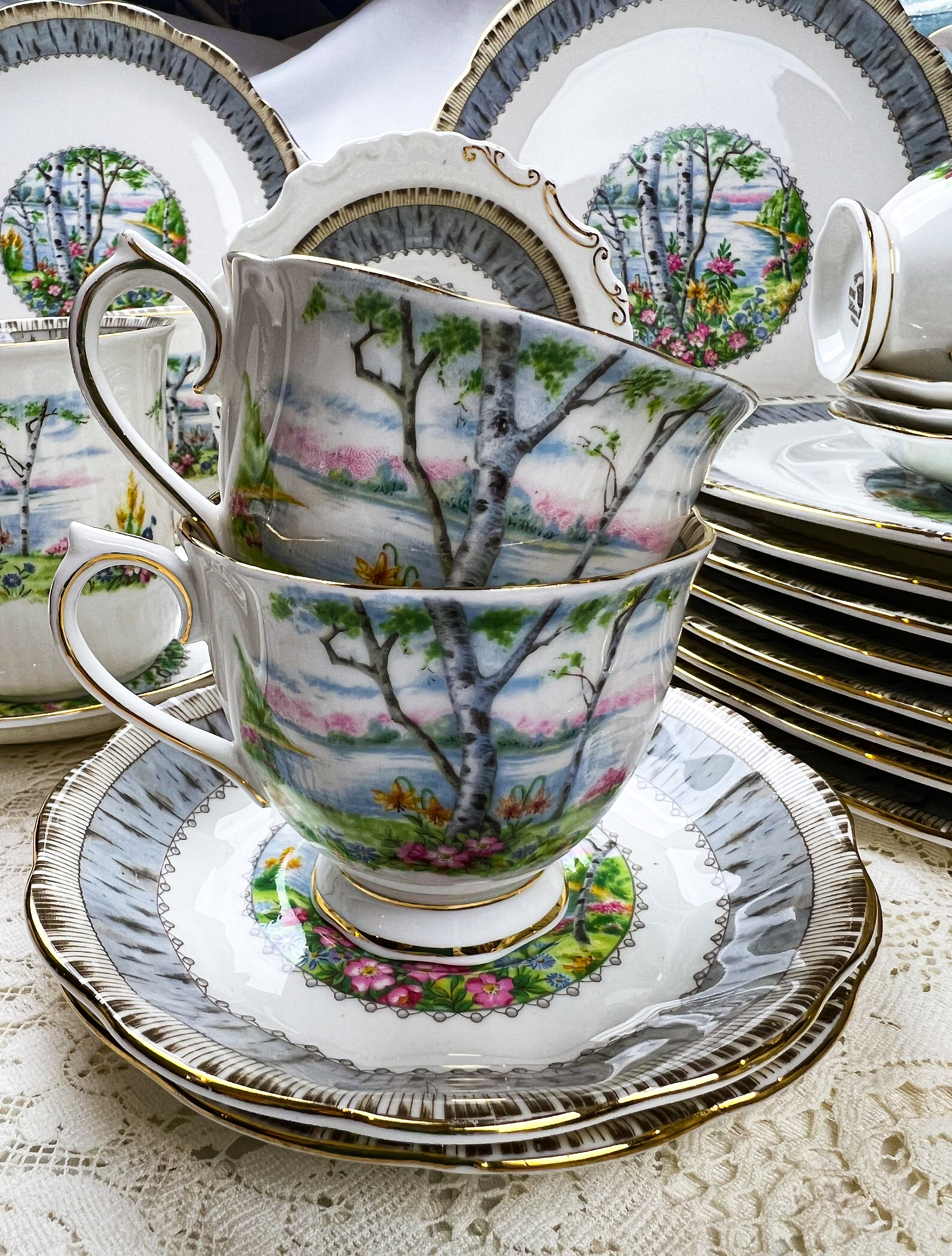 5 Piece Place Setting Vintage Royal Albert Silver Birch With