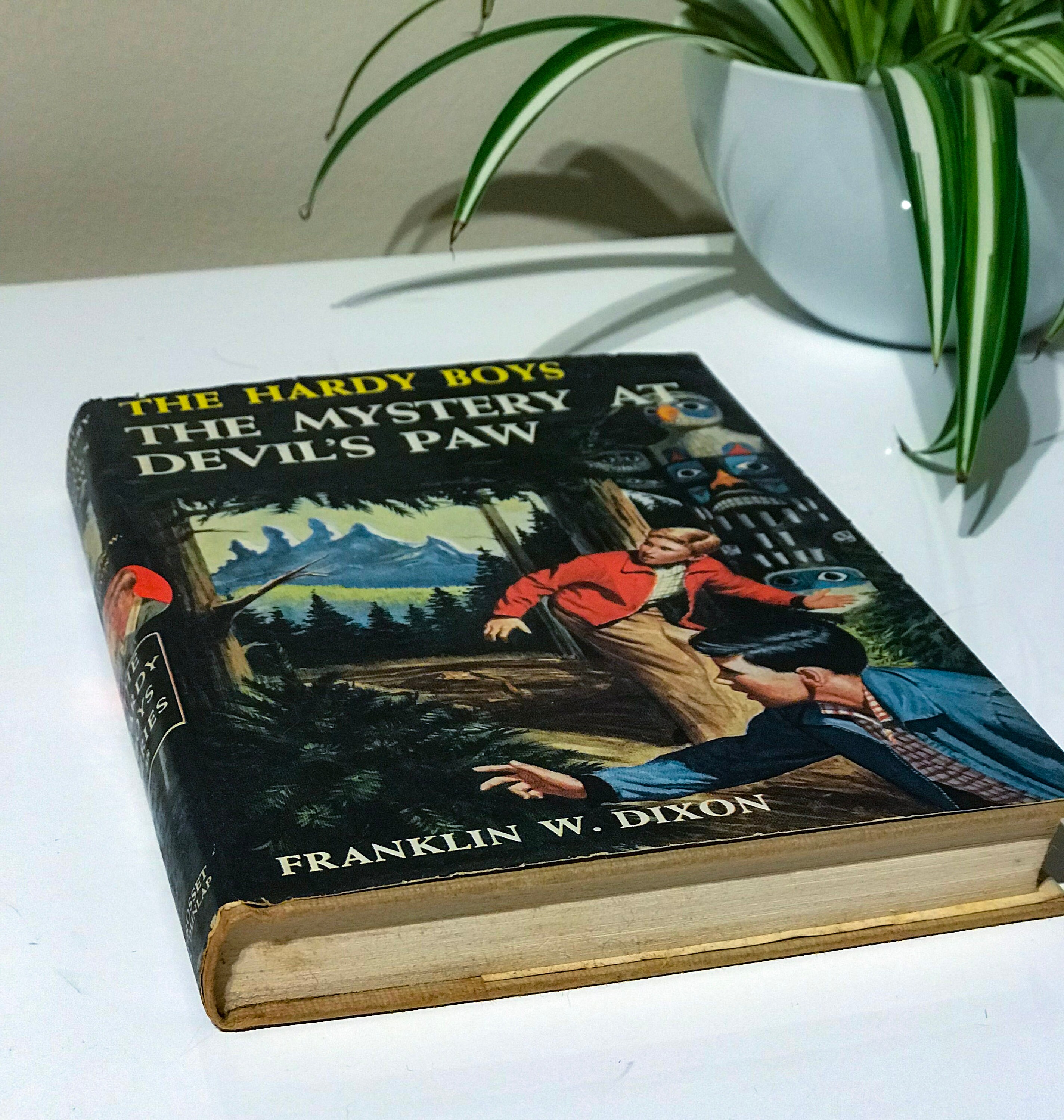True 1st edition, 1st printing, Hardy Boys 38 The Mystery at Devil's Paw, Franklin W. Dixon, Grosset & Dunlap, 1959, HC DJ, 1959A-1