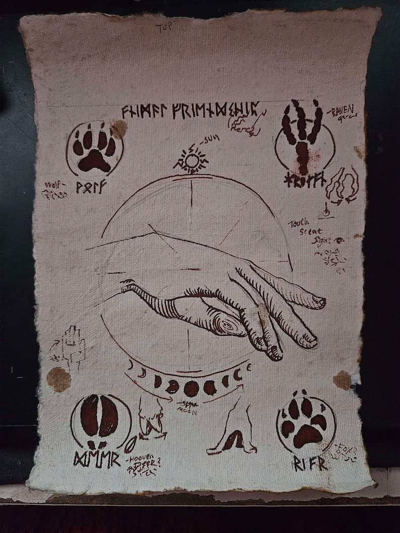 May include: A hand-drawn diagram on parchment paper with the words "FIMET PRIMIMR" at the top. The diagram includes a hand, a sun, a moon, and several animal paw prints. The paw prints are labeled with the words "Welf Perf", "MMMR", "RIFR", and "RAVEN quar".
