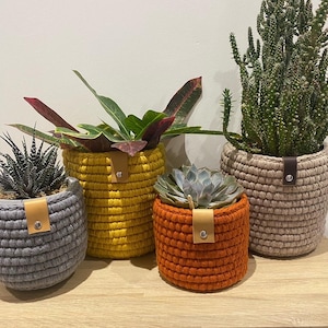 May include: Four potted plants in different coloured crocheted plant pots. The pots are grey, yellow, orange, and beige. Each pot has a brown leather strap with a metal button.