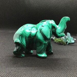 Malachite Elephant Bild 6