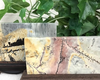 Picture Jasper Slab with Stand
