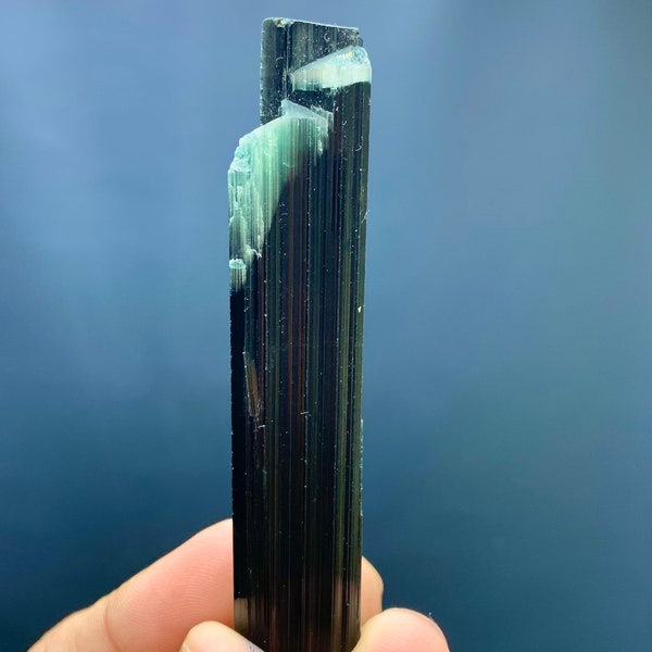 Tourmaline Crystal Bi Color Terminated Step wise Natural long crystal , From Afghanistan paprok mine , 28 grams , Tourmaline Specimen