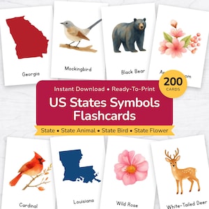 US Bundesstaat Symbole Karte | Tier, Vogel, Blume Geographie (Digitaler Download)