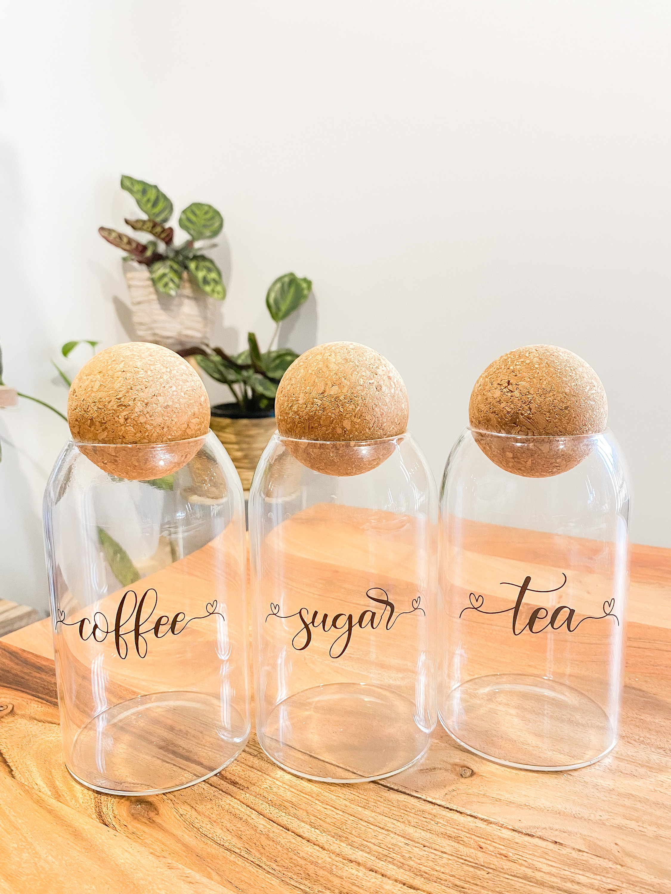THE FORT Cork Ball Lid Jars With Labels Etsy Australia