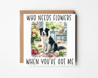 Funny Border Collie Birthday Card | Card From Dog | Anniversary Card | Dog Birthday |  Border Collie Valentine's Card | Dog Mum