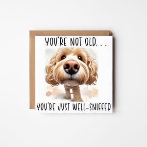 May include: A square greeting card featuring a cartoon dog with a prominent nose and light brown, curly fur. The card's text reads, "YOU'RE NOT OLD... YOU'RE JUST WELL-SNIFFED." The card is set against a brown envelope.