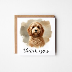 May include: A greeting card with a watercolour illustration of a golden Cockapoo dog. The card has the words "thank you" in a handwritten font. The card is inside a brown envelope.