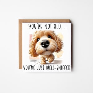 May include: A greeting card featuring a cartoon dog with light brown fur and a prominent black nose. The card displays the text "YOU'RE NOT OLD... YOU'RE JUST WELL-SNIFFED". The card is presented on a brown envelope.