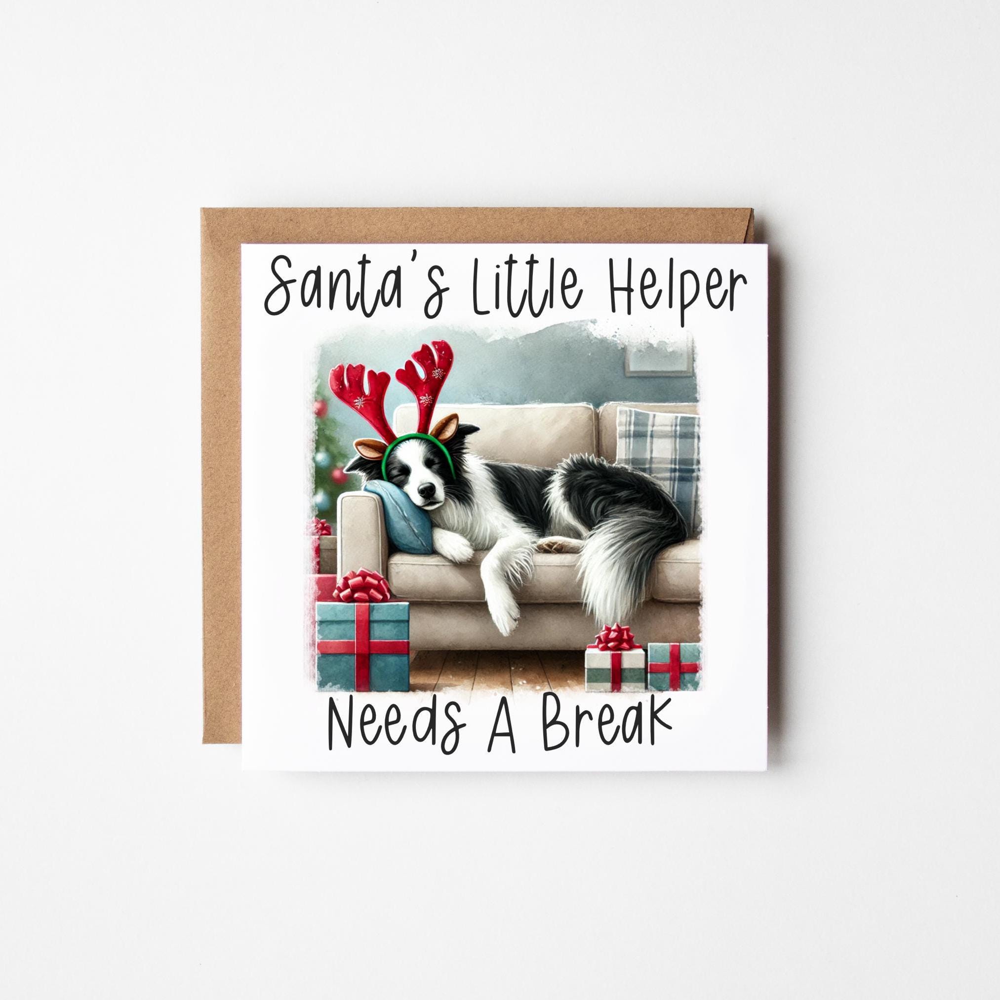 Funny Border Collie Christmas Card | Cute Collie Christmas Card | Card ...