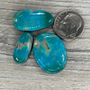 May include: Four polished turquoise gemstones in various shapes and sizes. The stones are a vibrant blue-green color with brown matrix patterns. A US dime is included for size comparison, showing the gemstones' scale.