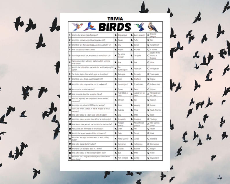 Birds Trivia Game: Fun Facts & Quizzes (digital Download) - Etsy
