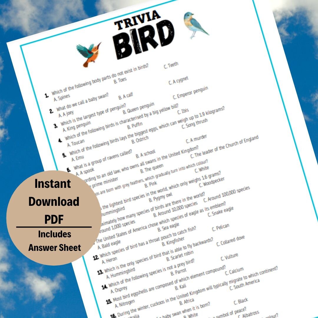 Bird Quiz, Animal Trivia, Animal Trivia Game, Fun Animal Trivia, Pub ...
