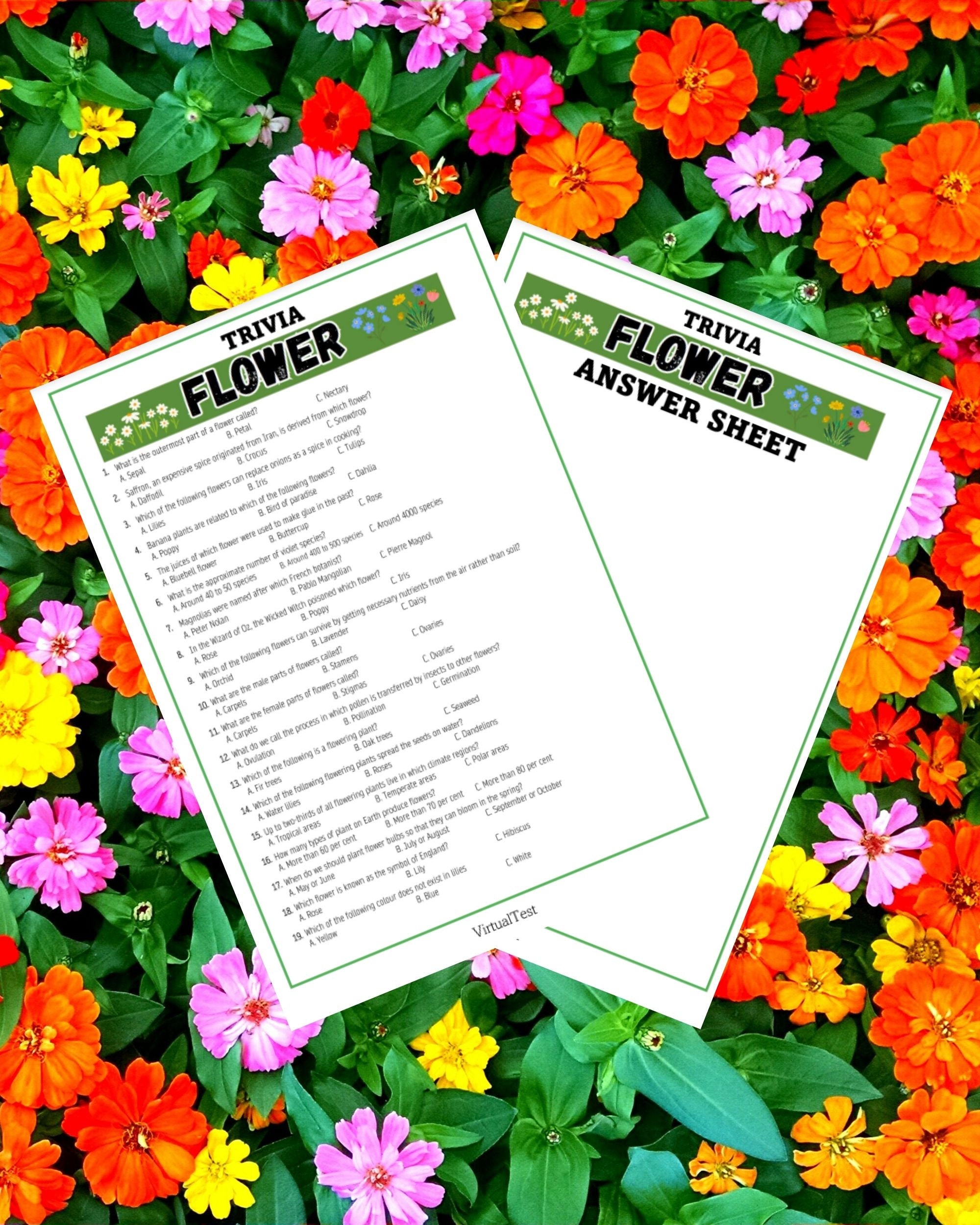 Flower Trivia, Spring Trivia, Trivia Game, Spring Quiz, Garden Trivia