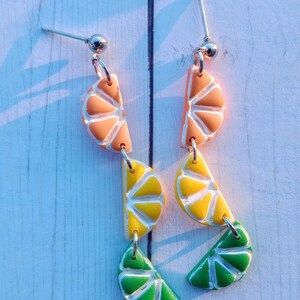 Citrus Slice Earrings, Polymer CLay Earrings