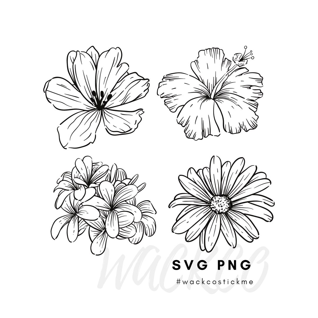 Daisy, Set of 4 Flowers, Svg, Png, Instant Download, Flower, South
