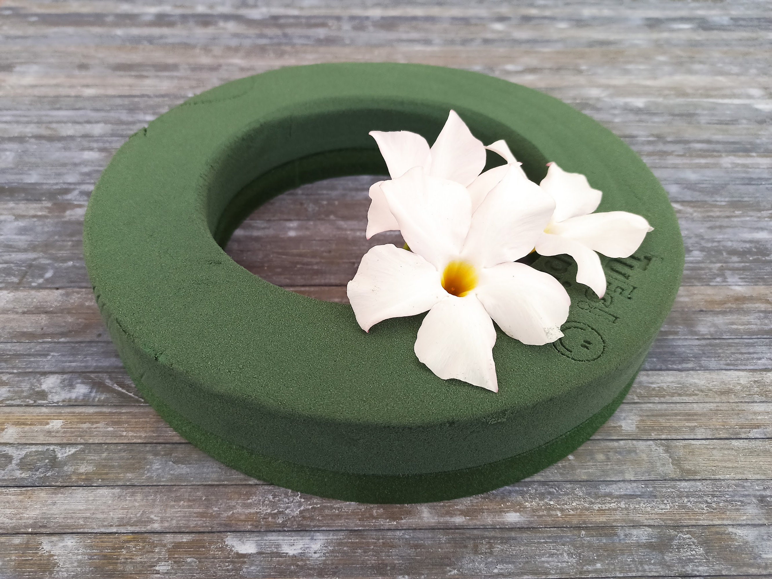 Wet Floral Foam for Flowers Round Florist Styrofoam Block Flower Arrangement Supplies Can Be Cut 1.57 x 3.15 Inches