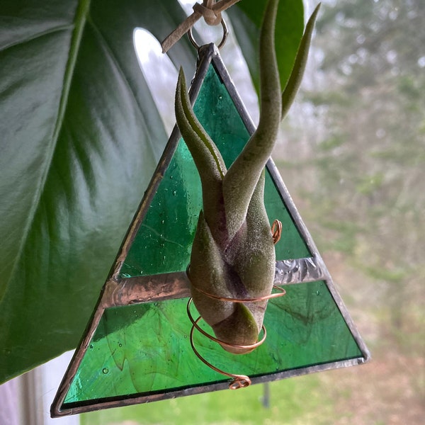 Stained glass Air plant hanger