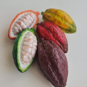 Mini juego de réplicas de frutas de cacao: Exhibidor de tienda de chocolate, decoración tropical imagen 6