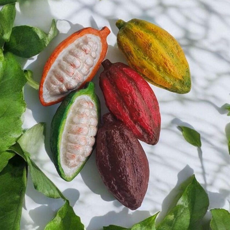 Mini juego de réplicas de frutas de cacao: Exhibidor de tienda de chocolate, decoración tropical imagen 10