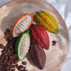 Mini juego de réplicas de frutas de cacao: Exhibidor de tienda de chocolate, decoración tropical imagen 8