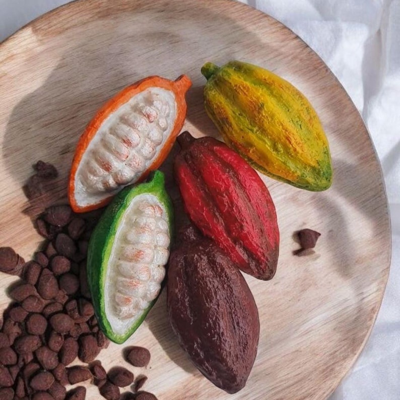 Mini juego de réplicas de frutas de cacao: Exhibidor de tienda de chocolate, decoración tropical imagen 8