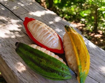 Réplica realista de fruta de cacao artificial, con la mitad de los granos de cacao: accesorio de exhibición tropical.